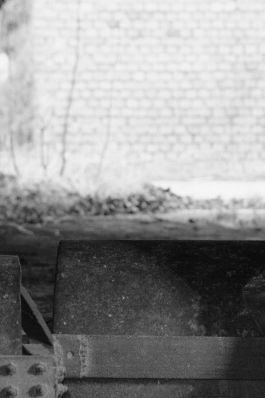 Oxalis // Lookbook // Paris - France