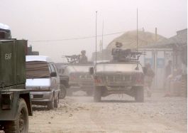 Oxalis // Lookbook // Paris - France