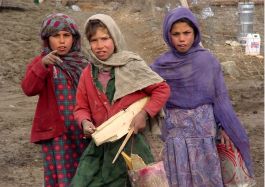 Oxalis // Lookbook // Paris - France